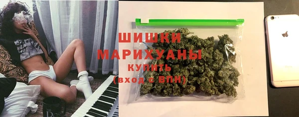 шишки Каменка