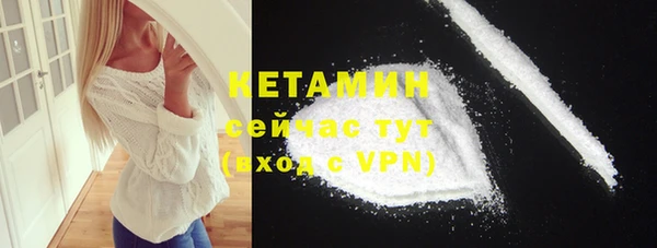 шишки Каменка