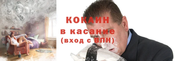 шишки Каменка