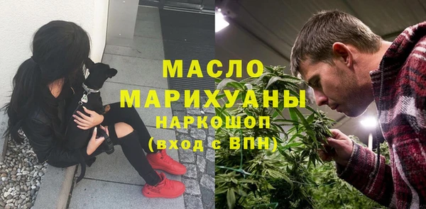 шишки Каменка