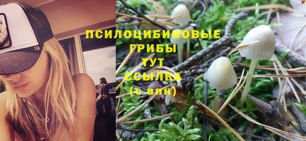 mdpv Каменск-Шахтинский