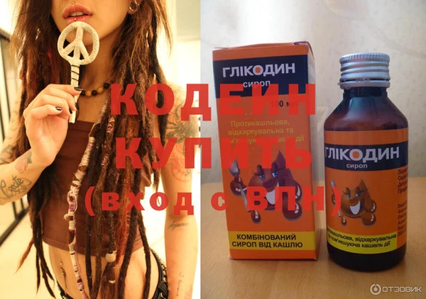 шишки Каменка