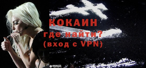 шишки Каменка