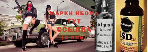 шишки Каменка
