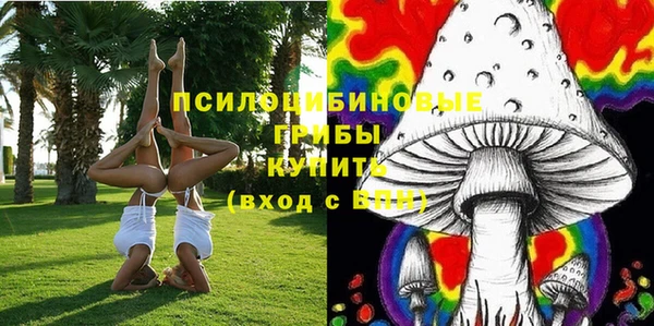mdpv Каменск-Шахтинский