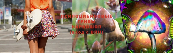 mdpv Каменск-Шахтинский