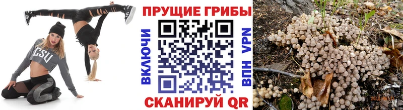 Псилоцибиновые грибы прущие грибы  Альметьевск 