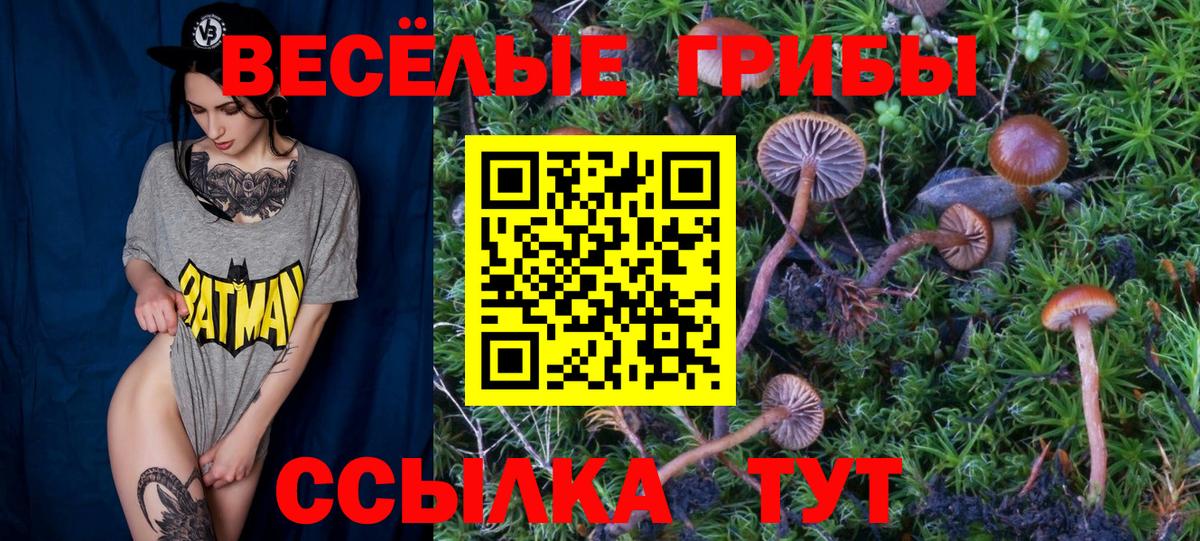 Псилоцибиновые грибы Psilocybine cubensis  Вход с VPN  Альметьевск 