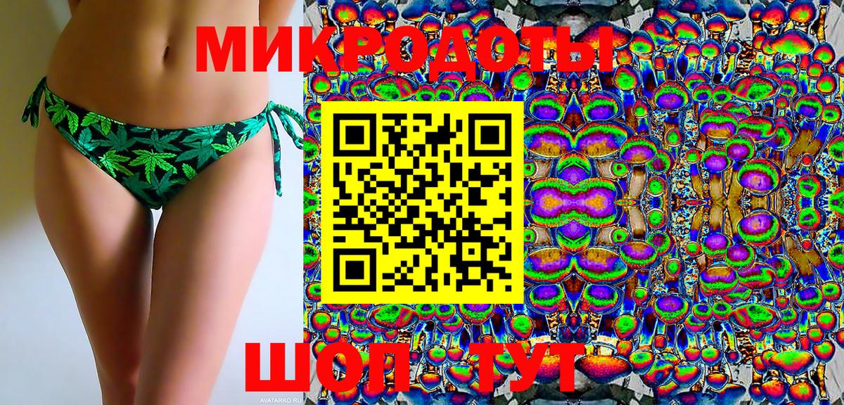 Галлюциногенные грибы Psilocybe Альметьевск